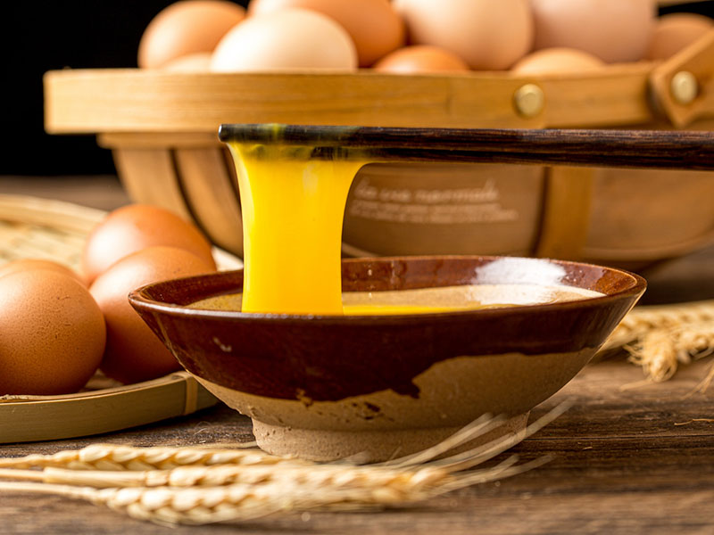 Egg Liquid Food Category